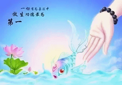 有哪些可以做供卵试管的,高龄女性做供卵试管有